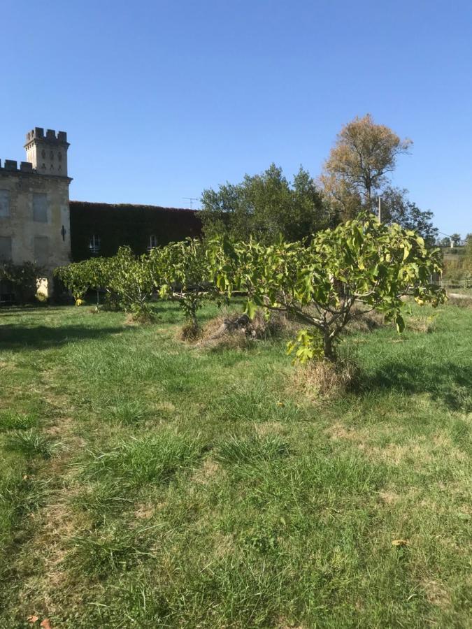 Loft + 2 Chambres Chateau Gourdet Bourg-sur-Gironde Exterior photo