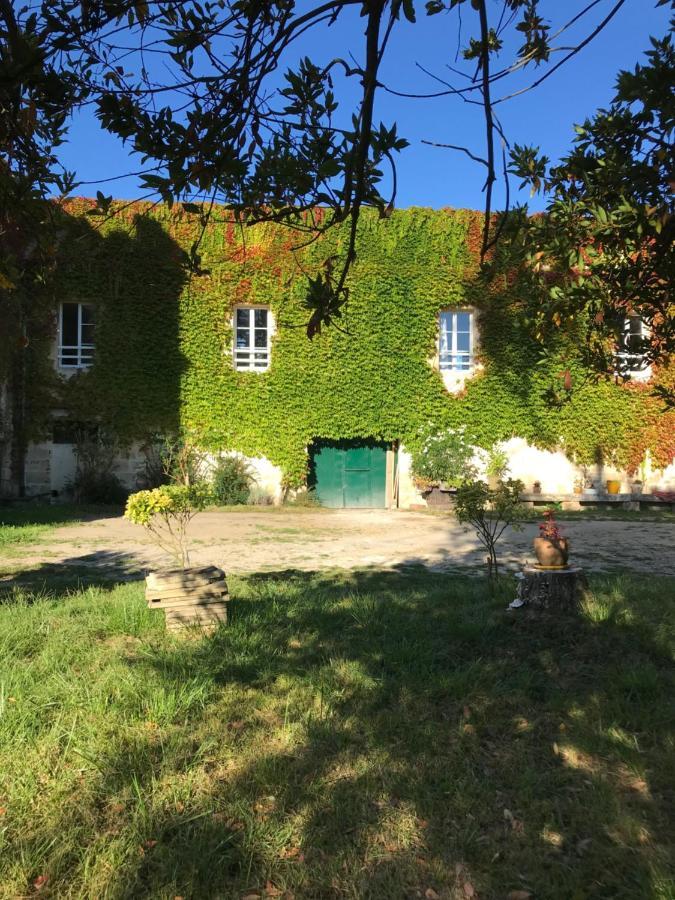 Loft + 2 Chambres Chateau Gourdet Bourg-sur-Gironde Exterior photo